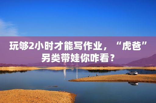 玩够2小时才能写作业，“虎爸”另类带娃你咋看？