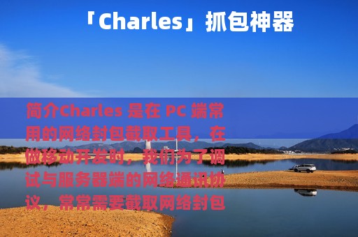 「Charles」抓包神器