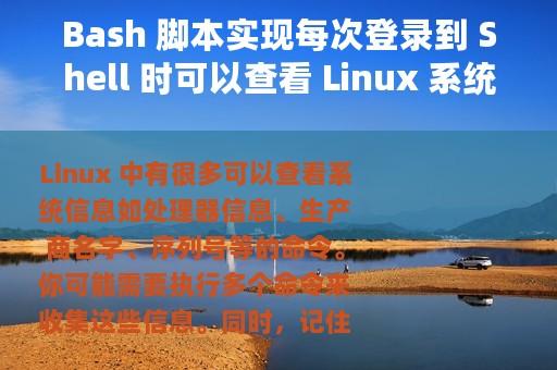 Bash 脚本实现每次登录到 Shell 时可以查看 Linux 系统信息