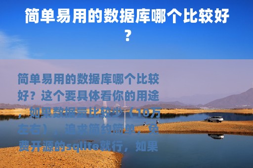 简单易用的数据库哪个比较好？