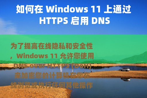 如何在 Windows 11 上通过 HTTPS 启用 DNS