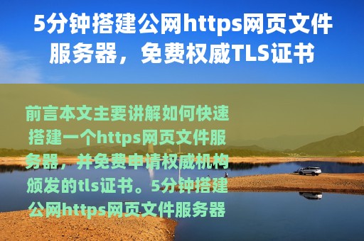 5分钟搭建公网https网页文件服务器，免费权威TLS证书
