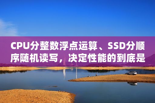 CPU分整数浮点运算、SSD分顺序随机读写，决定性能的到底是哪个？