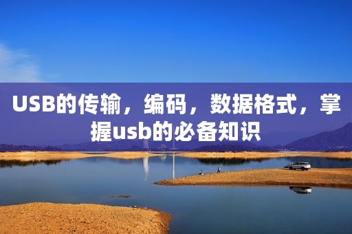 USB的传输，编码，数据格式，掌握usb的必备知识