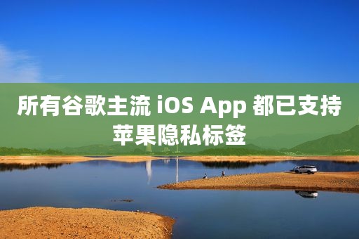 所有谷歌主流 iOS App 都已支持苹果隐私标签