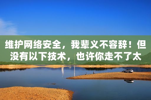 维护网络安全，我辈义不容辞！但没有以下技术，也许你走不了太远