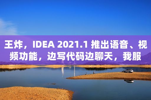 王炸，IDEA 2021.1 推出语音、视频功能，边写代码边聊天，我服了