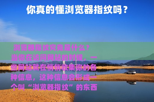 你真的懂浏览器指纹吗？