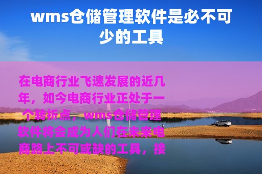 wms仓储管理软件是必不可少的工具