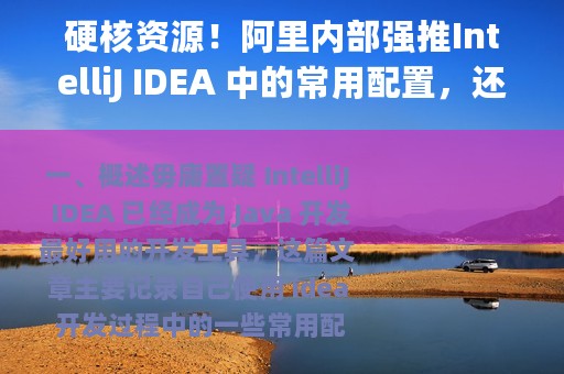 硬核资源！阿里内部强推IntelliJ IDEA 中的常用配置，还不赶紧收藏