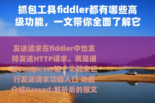 抓包工具fiddler都有哪些高级功能，一文带你全面了解它