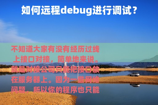 如何远程debug进行调试？