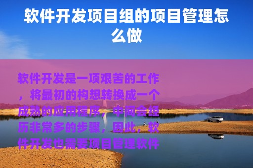 软件开发项目组的项目管理怎么做