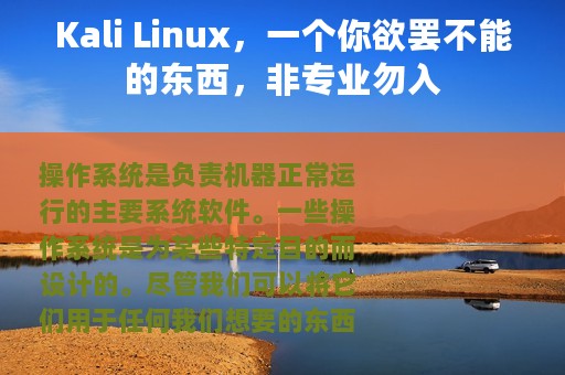 Kali Linux，一个你欲罢不能的东西，非专业勿入