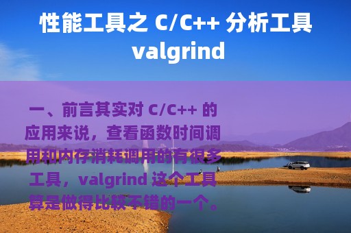 性能工具之 C/C++ 分析工具 valgrind