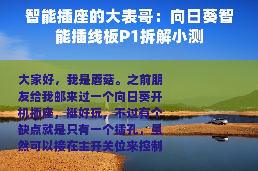 智能插座的大表哥：向日葵智能插线板P1拆解小测