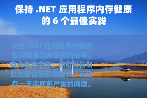 保持 .NET 应用程序内存健康的 6 个最佳实践