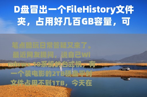 D盘冒出一个FileHistory文件夹，占用好几百GB容量，可以删除吗？