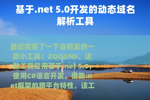 基于.net 5.0开发的动态域名解析工具