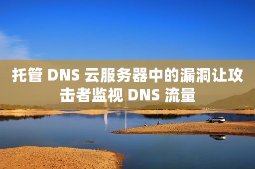托管 DNS 云服务器中的漏洞让攻击者监视 DNS 流量