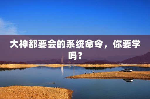 大神都要会的系统命令，你要学吗？