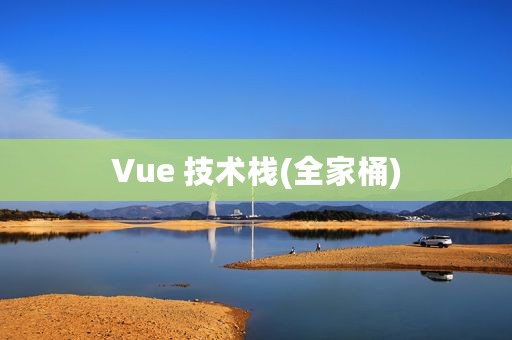 Vue 技术栈(全家桶)