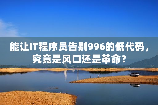 能让IT程序员告别996的低代码，究竟是风口还是革命？