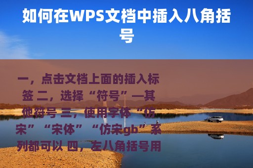 如何在WPS文档中插入八角括号
