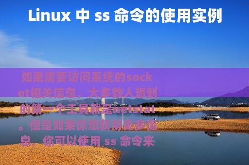 Linux 中 ss 命令的使用实例