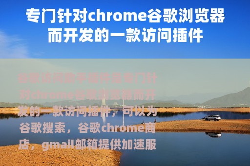 专门针对chrome谷歌浏览器而开发的一款访问插件