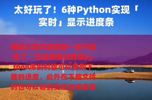太好玩了！6种Python实现「实时」显示进度条