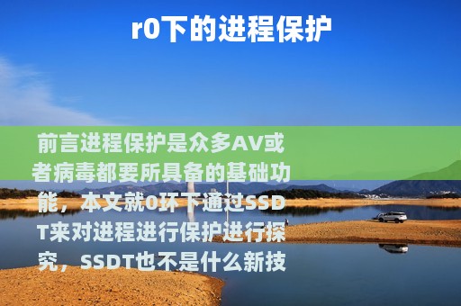 r0下的进程保护