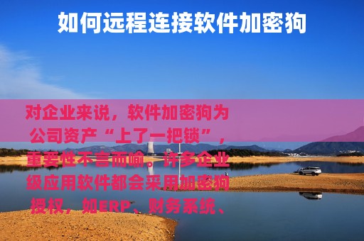 如何远程连接软件加密狗