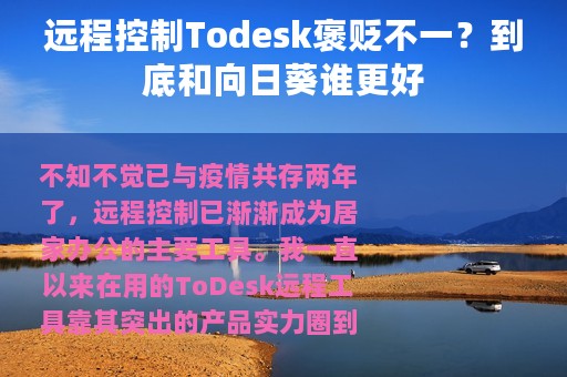 远程控制Todesk褒贬不一？到底和向日葵谁更好