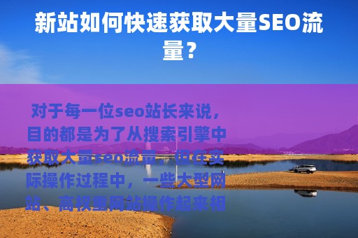新站如何快速获取大量SEO流量？