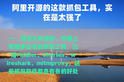 阿里开源的这款抓包工具，实在是太强了