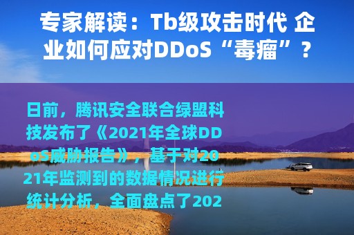 专家解读：Tb级攻击时代 企业如何应对DDoS“毒瘤”？