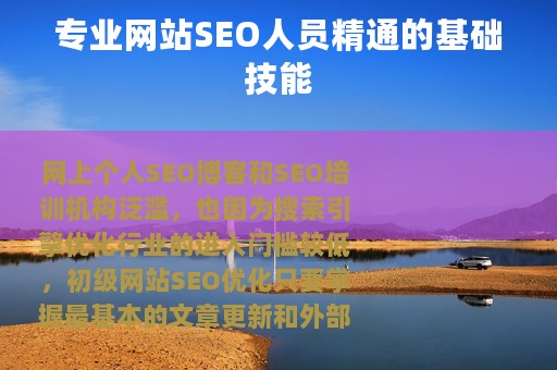专业网站SEO人员精通的基础技能