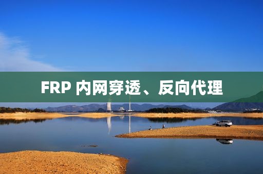FRP 内网穿透、反向代理