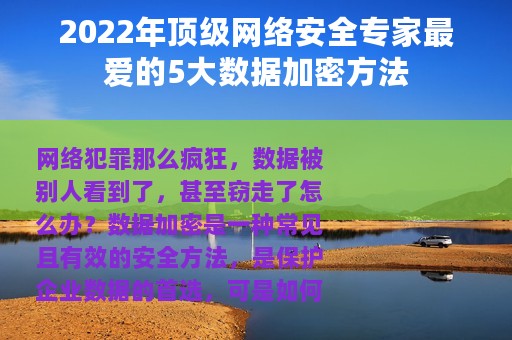 2022年顶级网络安全专家最爱的5大数据加密方法