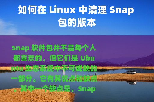如何在 Linux 中清理 Snap 包的版本