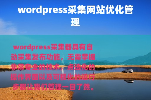 wordpress采集网站优化管理