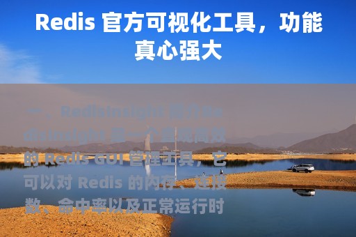 Redis 官方可视化工具，功能真心强大