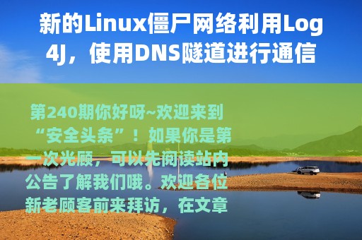 新的Linux僵尸网络利用Log4J，使用DNS隧道进行通信