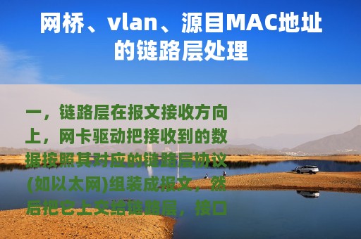 网桥、vlan、源目MAC地址的链路层处理