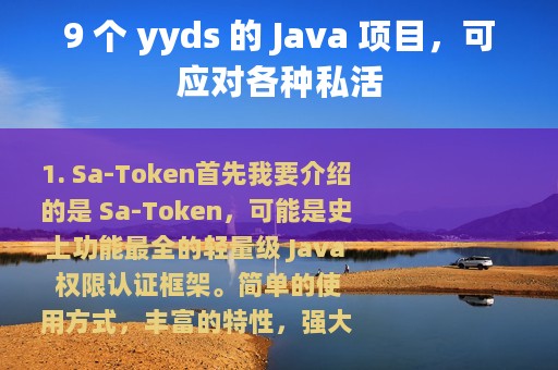 9 个 yyds 的 Java 项目，可应对各种私活