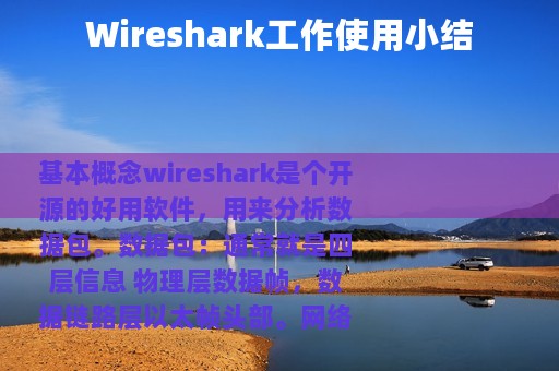Wireshark工作使用小结
