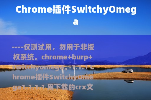Chrome插件SwitchyOmega
