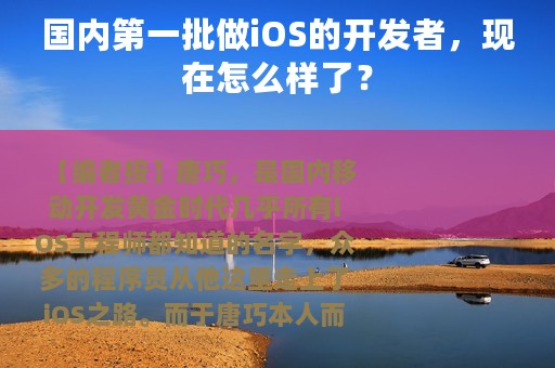 国内第一批做iOS的开发者，现在怎么样了？