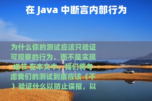 在 Java 中断言内部行为